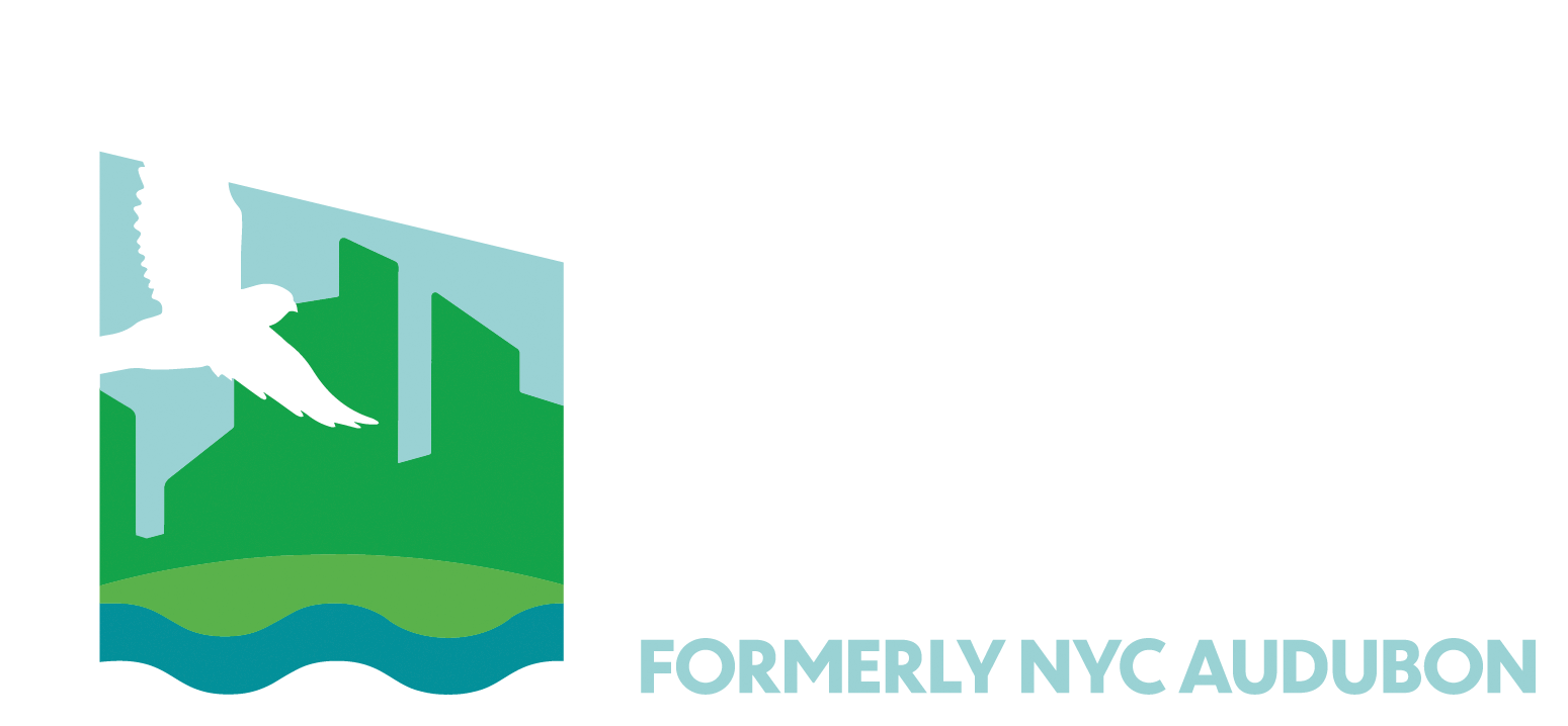 10306_NYCA_logo_RGB_white_horizontal_tagline-01(1).png